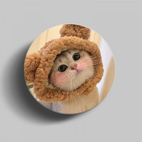 PopSocket для телефона пластиковый круглый глянцевый Котёнок 6