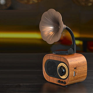 Колонка Bluetooth  B5 (h17хl10xb6см.) Aux/слот USB/TF/FM-радио, з/у USB пластиковая