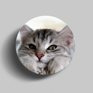 PopSocket для телефона пластиковый круглый глянцевый Котёнок 1