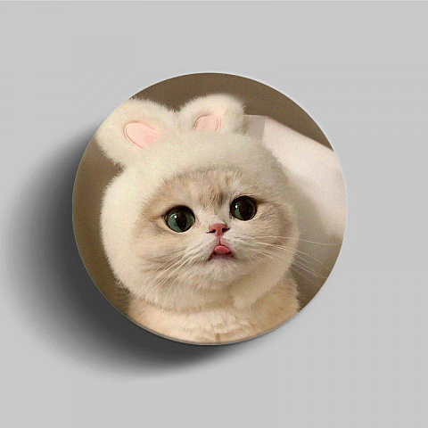 PopSocket для телефона пластиковый круглый глянцевый Котёнок 2